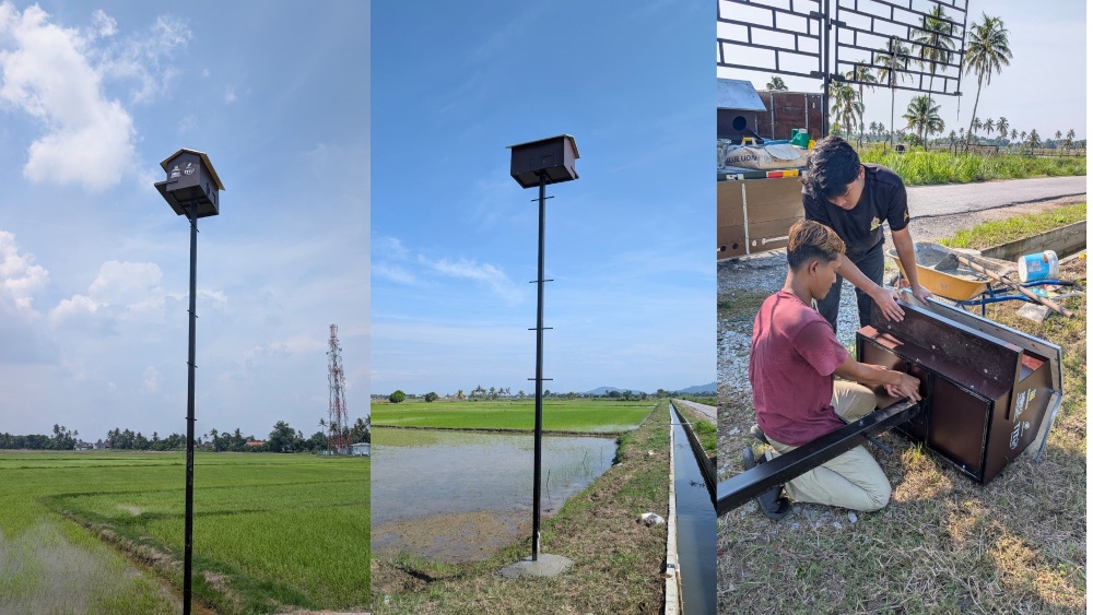 An installation of nest boxes at a paddy field by the Barn Owl and Rodent Research Group. — Pictures courtesy of Borg